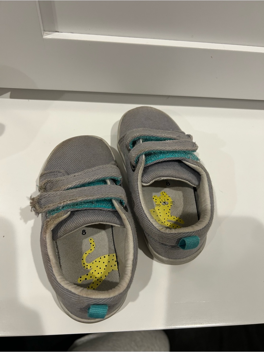 Kids Grey Canvas Sneakers with Teal Accents